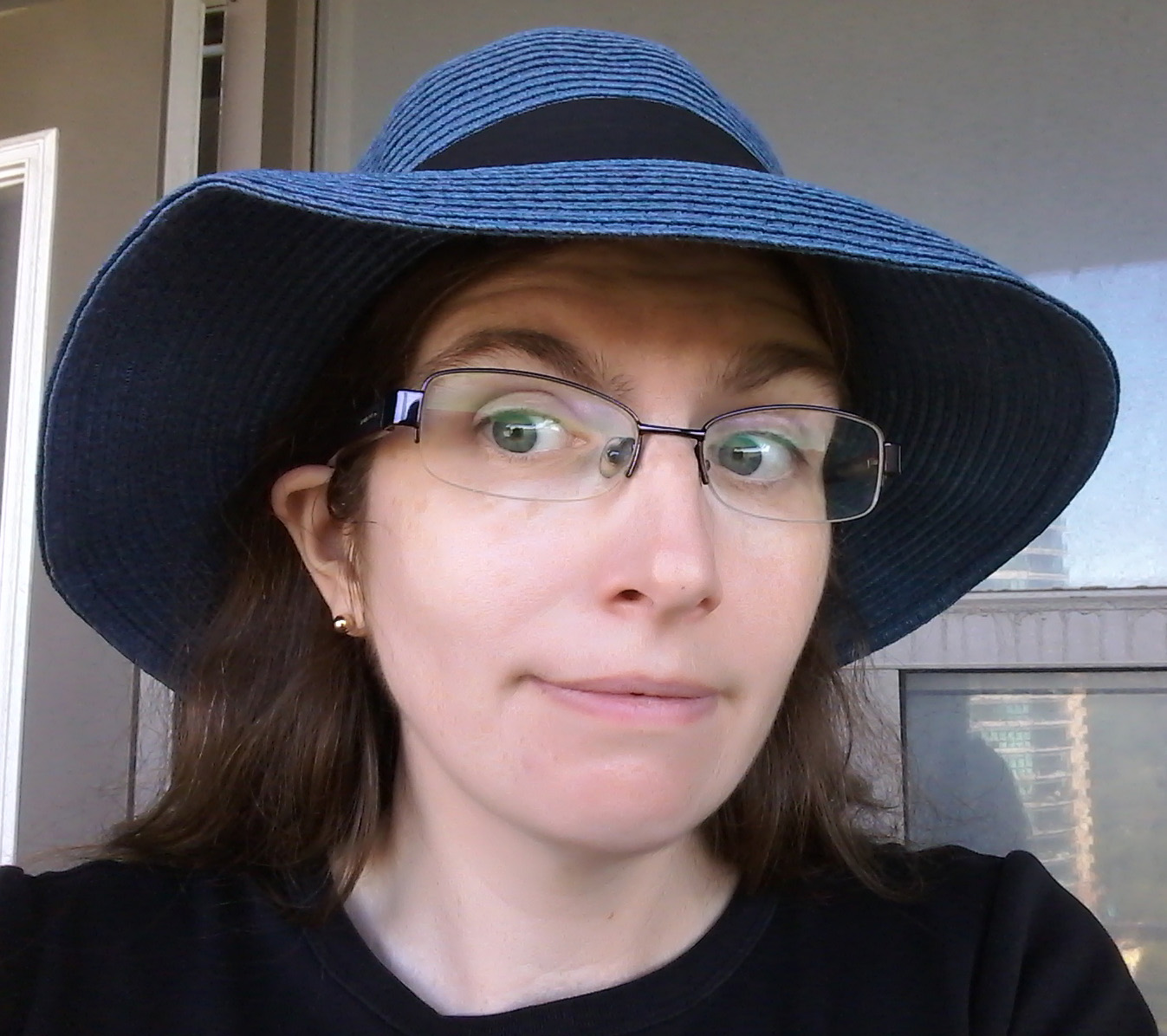 A photograph of a middle-aged white woman with long brown hair and grey eyes. She is wearing glasss and a blue hat.